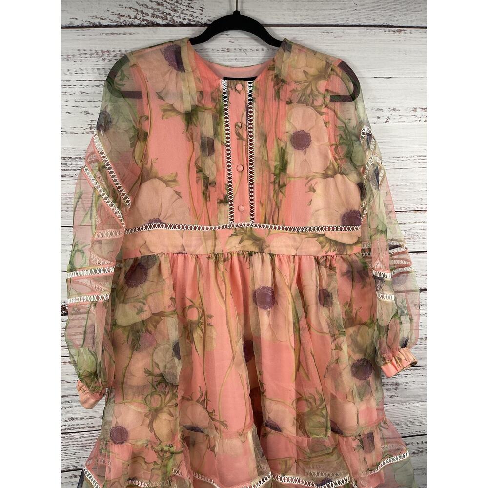 Cynthia Rowley Dress Womens XS Pink Floral Sheer Chiffon Ruffle Boho Long Sleeve - Picture 2 of 9